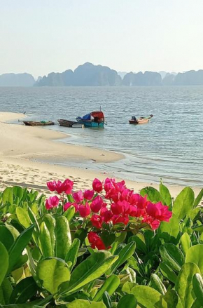 Green view Homestay in Halong